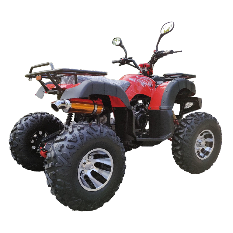 Hot sale model 150cc atv 4X2 2 wheel 4 wheel ATV off road for sale